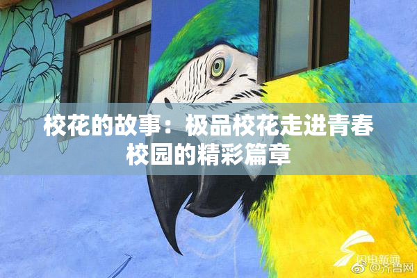 校花的故事：极品校花走进青春校园的精彩篇章