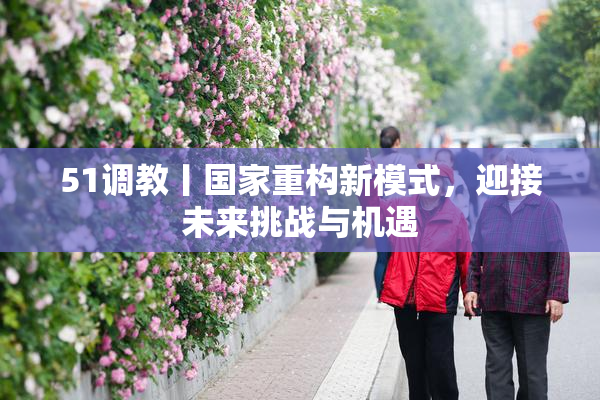 51调教丨国家重构新模式，迎接未来挑战与机遇