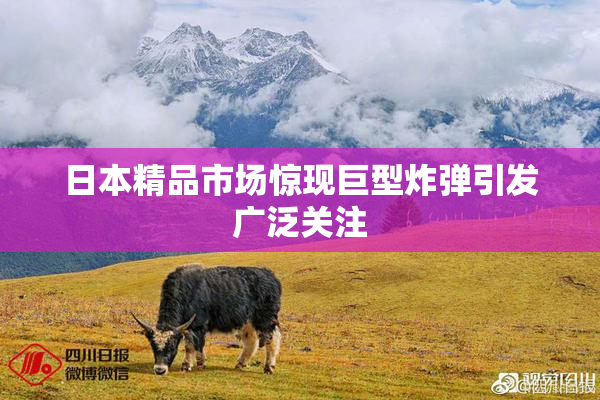 日本精品市场惊现巨型炸弹引发广泛关注