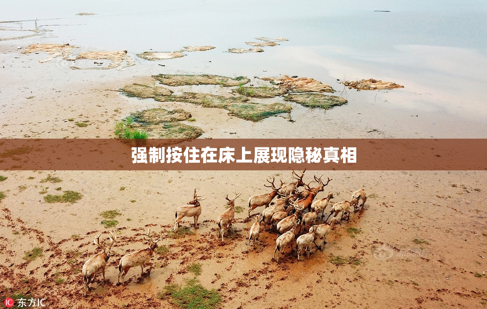 强制按住在床上展现隐秘真相