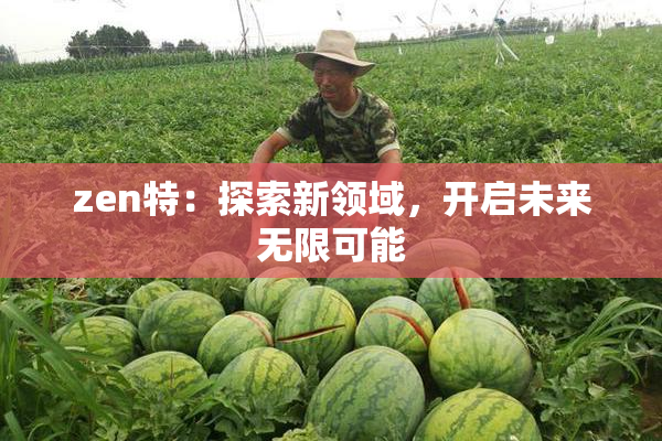 zen特：探索新领域，开启未来无限可能