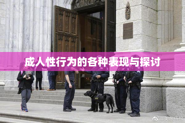 成人性行为的各种表现与探讨