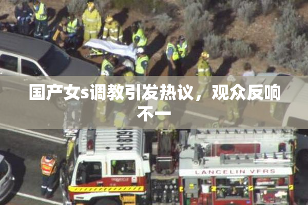 国产女s调教引发热议，观众反响不一