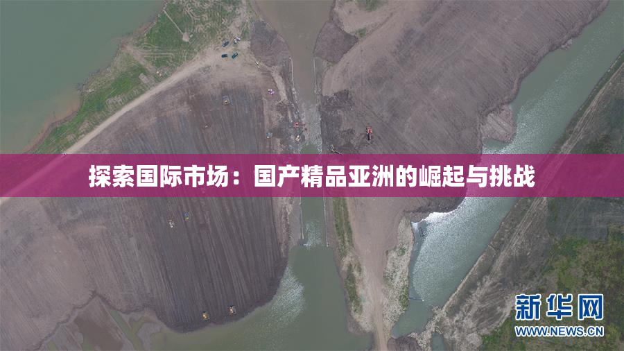 探索国际市场：国产精品亚洲的崛起与挑战