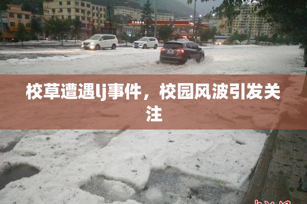 校草遭遇lj事件，校园风波引发关注