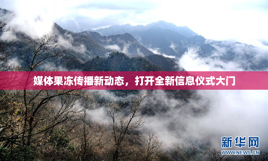 媒体果冻传播新动态，打开全新信息仪式大门