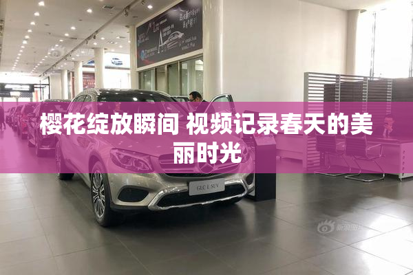 樱花绽放瞬间 视频记录春天的美丽时光