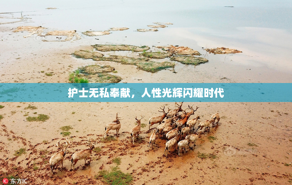 护士无私奉献，人性光辉闪耀时代