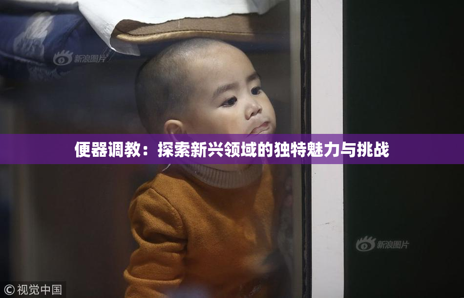 便器调教：探索新兴领域的独特魅力与挑战
