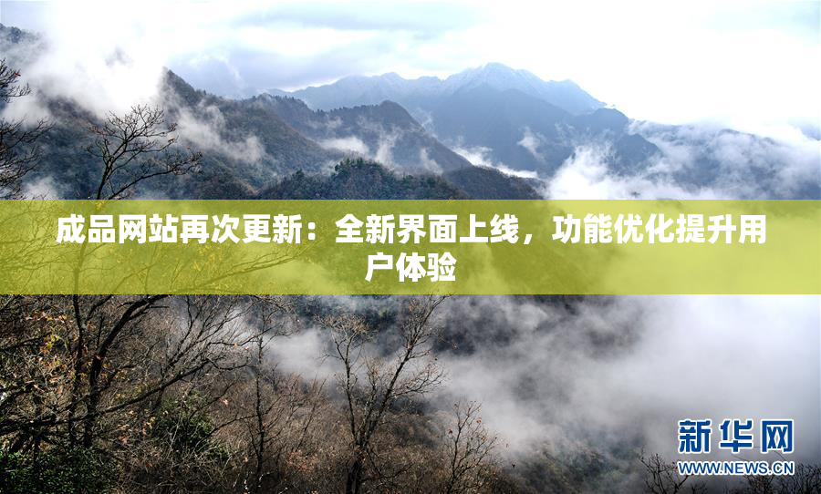 成品网站再次更新：全新界面上线，功能优化提升用户体验