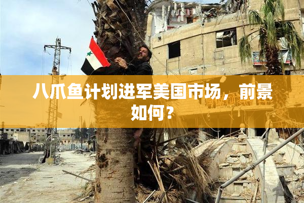 八爪鱼计划进军美国市场，前景如何？