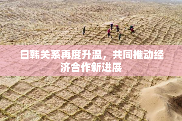 日韩关系再度升温，共同推动经济合作新进展