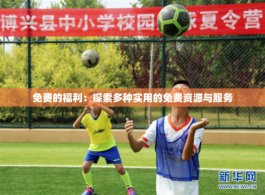 免费的福利：探索多种实用的免费资源与服务