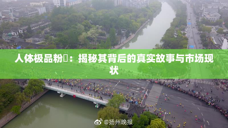 人体极品粉鮑：揭秘其背后的真实故事与市场现状