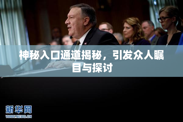 神秘入口通道揭秘，引发众人瞩目与探讨
