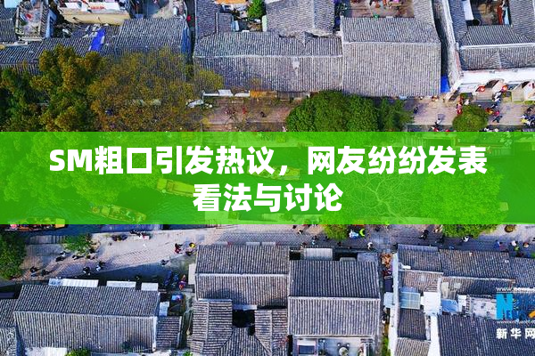 SM粗口引发热议，网友纷纷发表看法与讨论