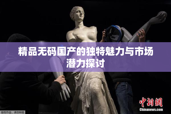 精品无码国产的独特魅力与市场潜力探讨