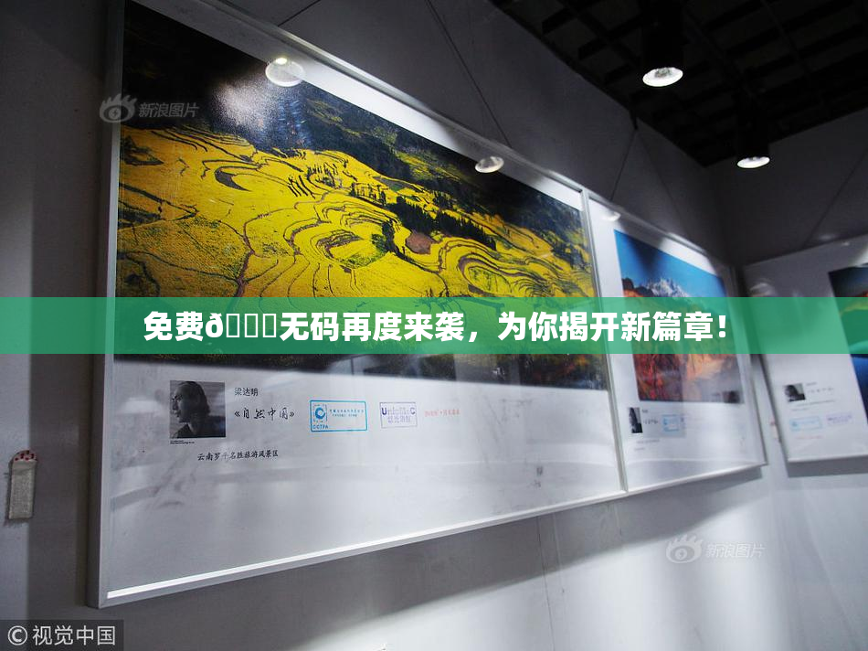 免费🔞无码再度来袭，为你揭开新篇章！