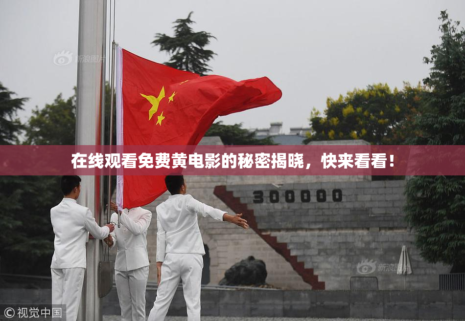 在线观看免费黄电影的秘密揭晓，快来看看！
