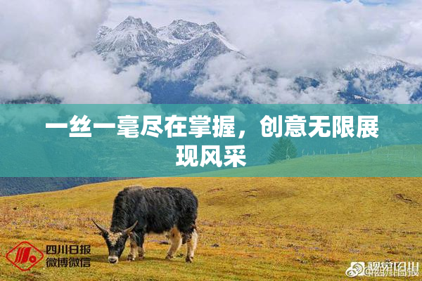 一丝一毫尽在掌握，创意无限展现风采