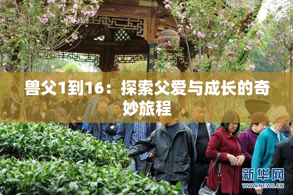 兽父1到16：探索父爱与成长的奇妙旅程