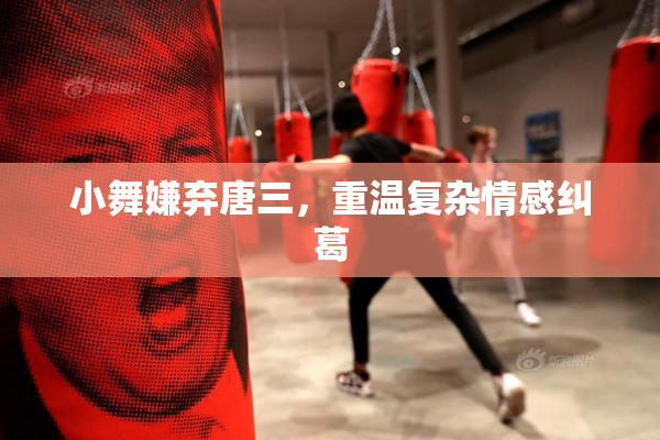 小舞嫌弃唐三，重温复杂情感纠葛