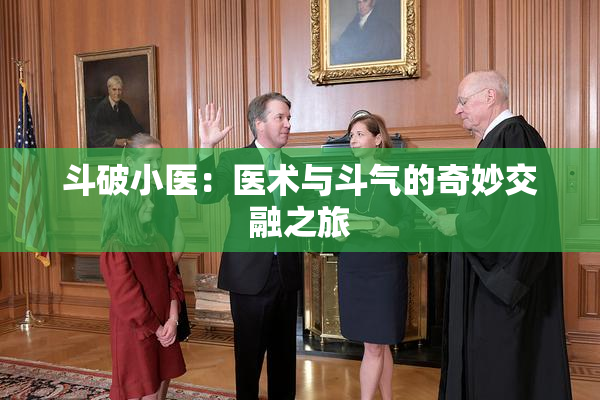 斗破小医：医术与斗气的奇妙交融之旅