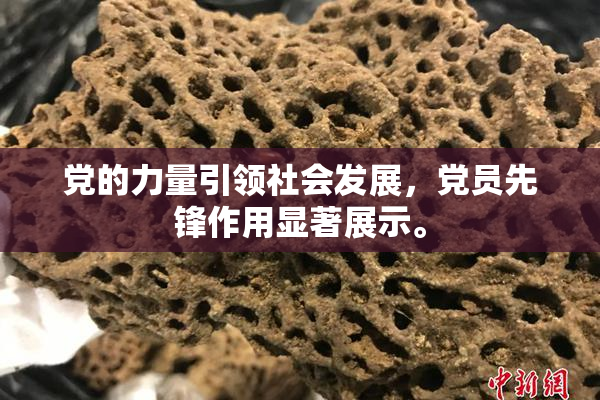 党的力量引领社会发展，党员先锋作用显著展示。