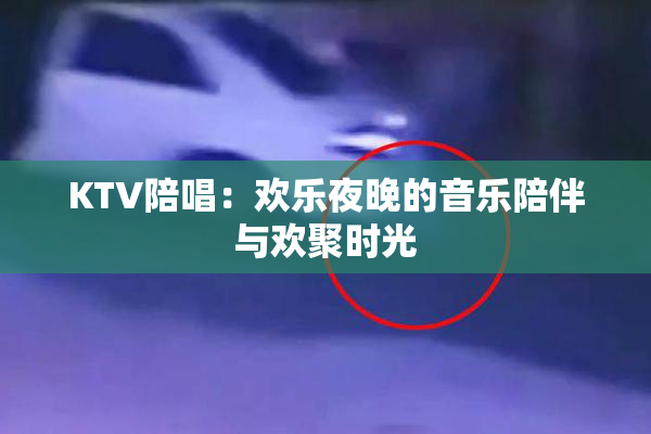 KTV陪唱：欢乐夜晚的音乐陪伴与欢聚时光