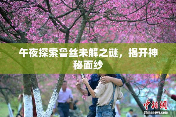 午夜探索鲁丝未解之谜，揭开神秘面纱
