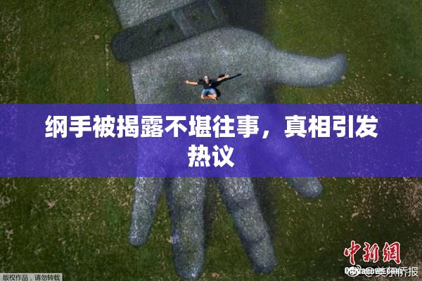 纲手被揭露不堪往事，真相引发热议