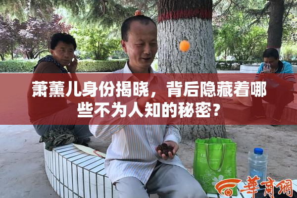 萧薰儿身份揭晓，背后隐藏着哪些不为人知的秘密？