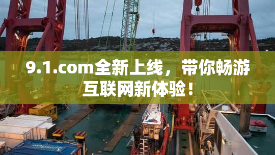 9.1.com全新上线，带你畅游互联网新体验！