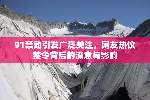 91禁动引发广泛关注，网友热议禁令背后的深意与影响