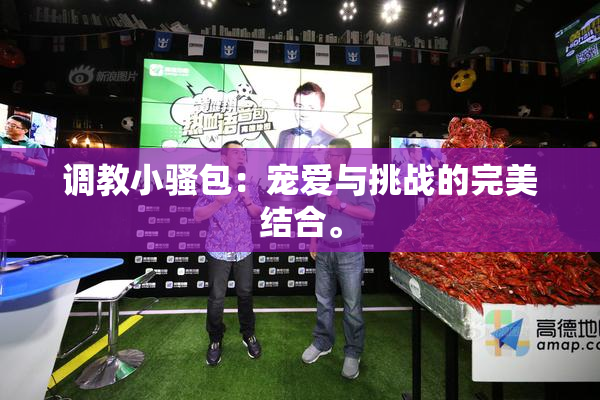 调教小骚包：宠爱与挑战的完美结合。