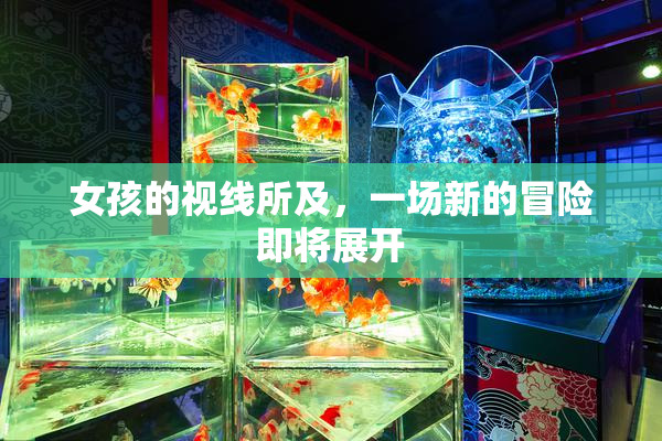 女孩的视线所及，一场新的冒险即将展开
