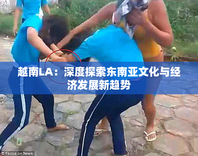 越南LA：深度探索东南亚文化与经济发展新趋势