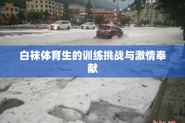 白袜体育生的训练挑战与激情奉献