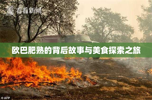 欧巴肥熟的背后故事与美食探索之旅