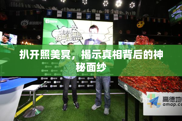 扒开照美冥，揭示真相背后的神秘面纱