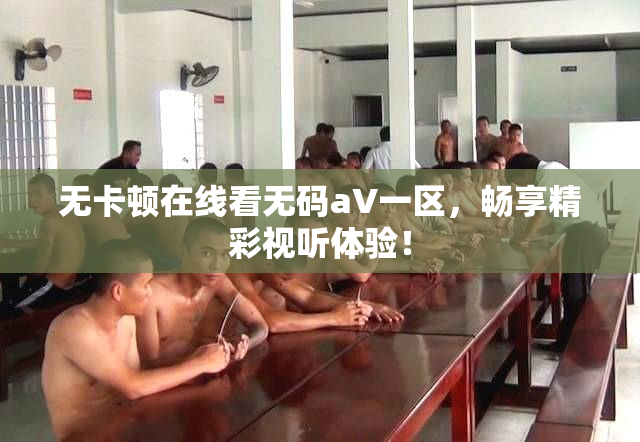 无卡顿在线看无码aV一区，畅享精彩视听体验！