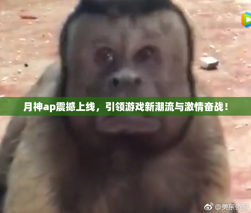 月神ap震撼上线，引领游戏新潮流与激情奋战！