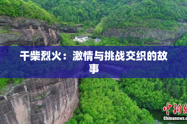 干柴烈火：激情与挑战交织的故事