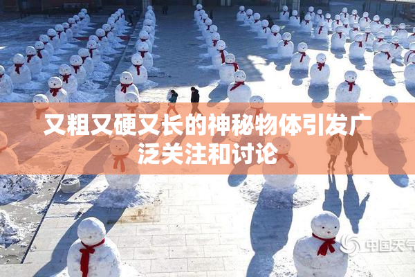 又粗又硬又长的神秘物体引发广泛关注和讨论