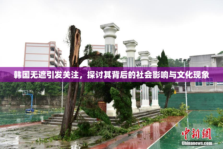 韩国无遮引发关注，探讨其背后的社会影响与文化现象