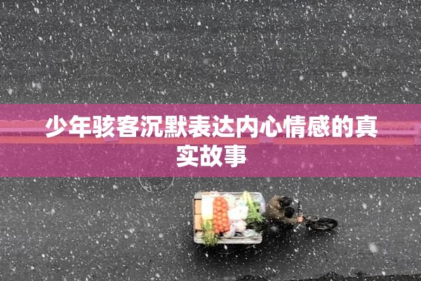 少年骇客沉默表达内心情感的真实故事
