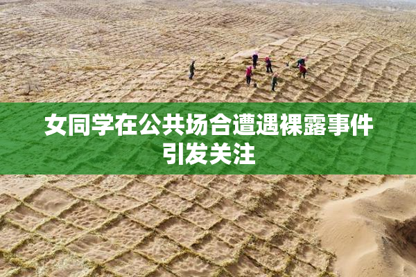 女同学在公共场合遭遇裸露事件引发关注