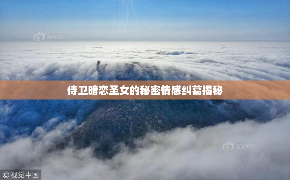 侍卫暗恋圣女的秘密情感纠葛揭秘