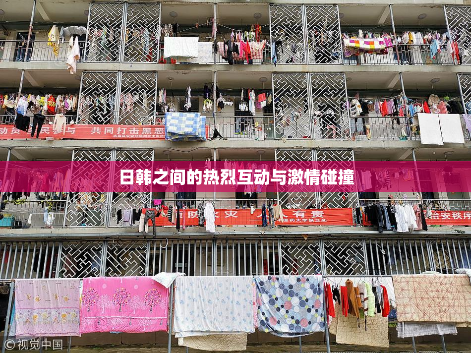 日韩之间的热烈互动与激情碰撞