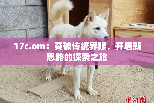 17c.om：突破传统界限，开启新思路的探索之旅